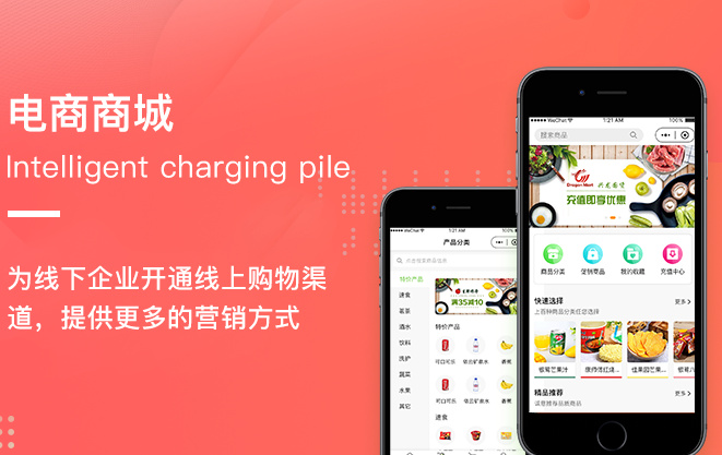 定制app开发费用表(app定制开发)