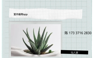 论坛app开发思路