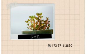 微商城发展注意事项