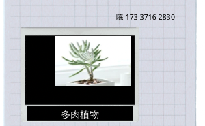移动app开发方式都有哪些