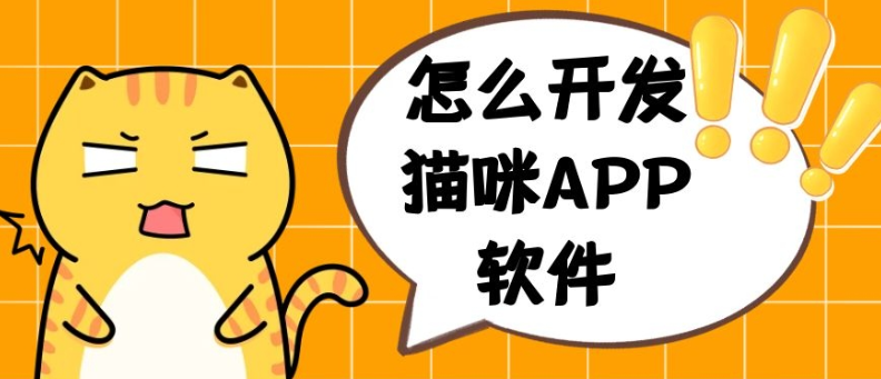 开发一款猫咪APP需要什么功能