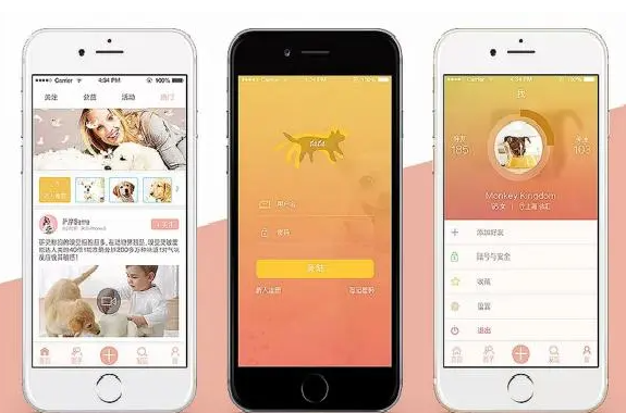 宠物服务APP开发能够为用户提供什么