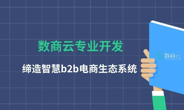 电商系统开发要明确的要求问题！