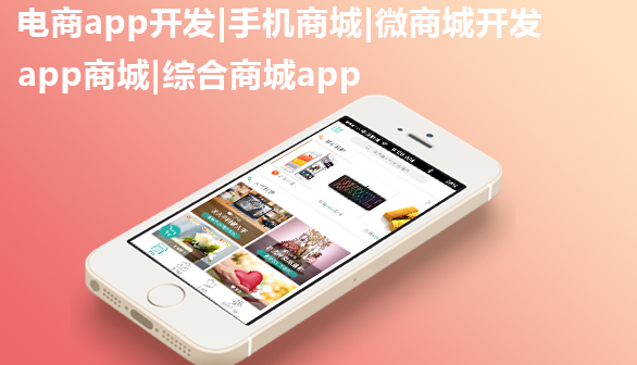 电子商城APP开发，满足用户购物需求