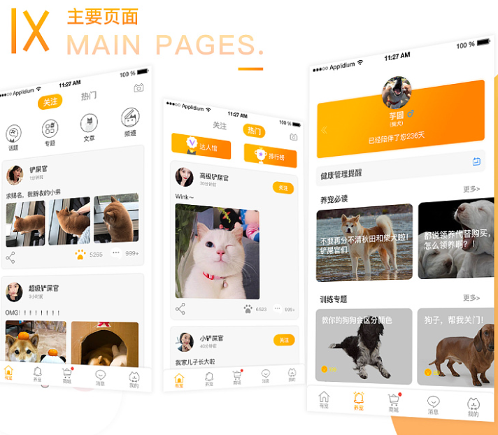 宠物社交APP开发用户需求浅析