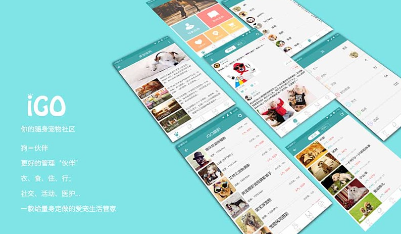 社交类APP开发，满足用户在线社交需求