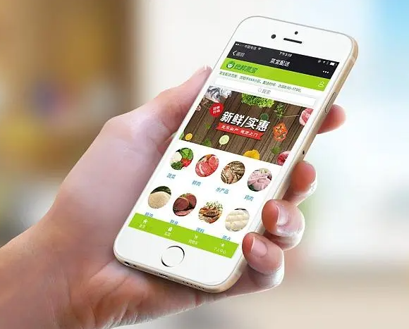 送菜上门APP开发解决方案
